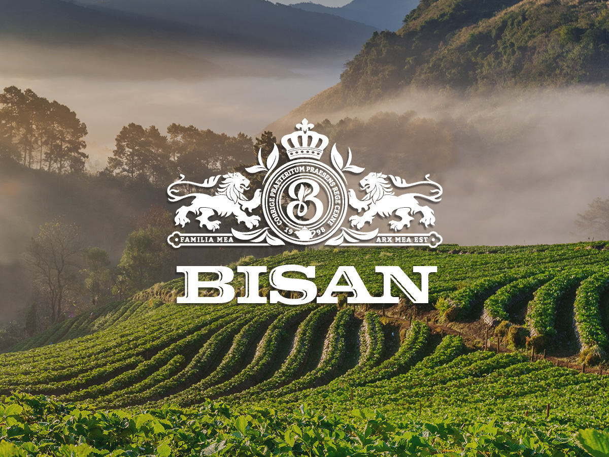 Зустрічайте BISAN — новий інтернет-магазин